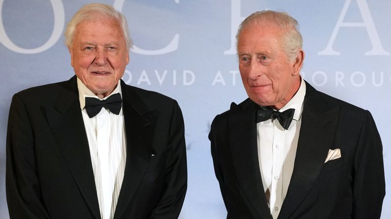 skynews-king-charles-sir-david-attenborough_7242004 The Ultimate Guide to New York’s Favorite Food